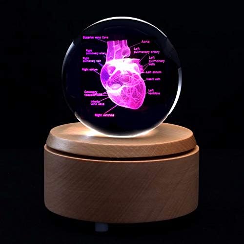 3D Human Heart with Labels Anatomical Model Paperweight(Laser Etched) in Crystal Glass Ball Science Gift (Included LED Base) - Image 4