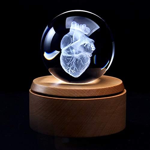 XINDAM 3D Human Heart Anatomical Model Paperweight(Laser Etched) in Crystal Glass Ball Science Gift (Included LED Base) - Image 2
