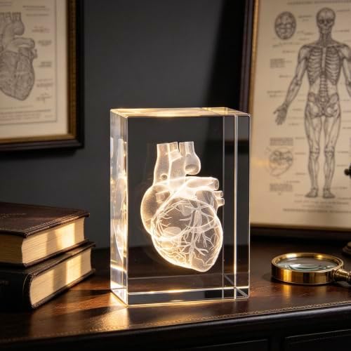 3D Human Heart Anatomical Model Paperweight(Laser Etched) in Crystal Glass Cube Science Anatomy Gift (No Included LED Base)(3.1x2x2 inch) - Image 5
