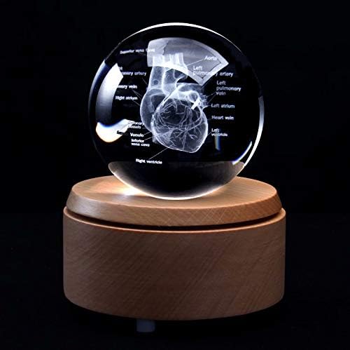 3D Human Heart with Labels Anatomical Model Paperweight(Laser Etched) in Crystal Glass Ball Science Gift (Included LED Base) - Image 2