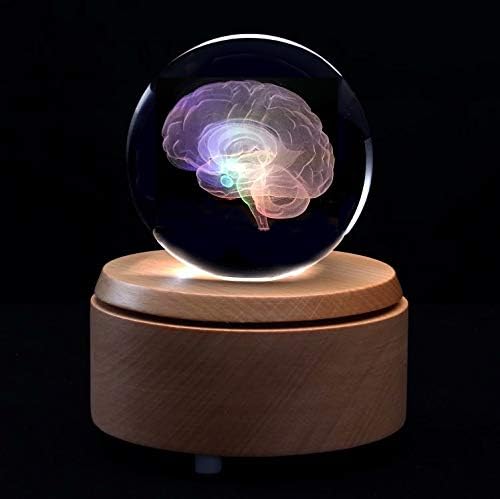3D Human Brain Anatomical Model Paperweight(Laser Etched) in Crystal Glass Ball Science Gift (Included LED Base) - Image 4