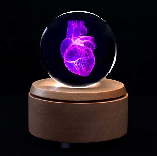 XINDAM 3D Human Heart Anatomical Model Paperweight(Laser Etched) in Crystal Glass Ball Science Gift (Included LED Base) - Image 3
