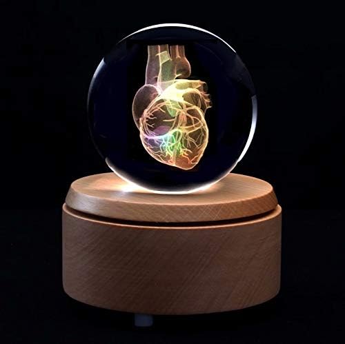 XINDAM 3D Human Heart Anatomical Model Paperweight(Laser Etched) in Crystal Glass Ball Science Gift (Included LED Base) - Image 4