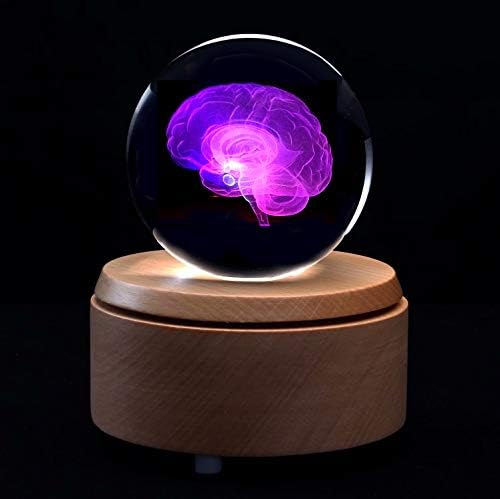 3D Human Brain Anatomical Model Paperweight(Laser Etched) in Crystal Glass Ball Science Gift (Included LED Base) - Image 3