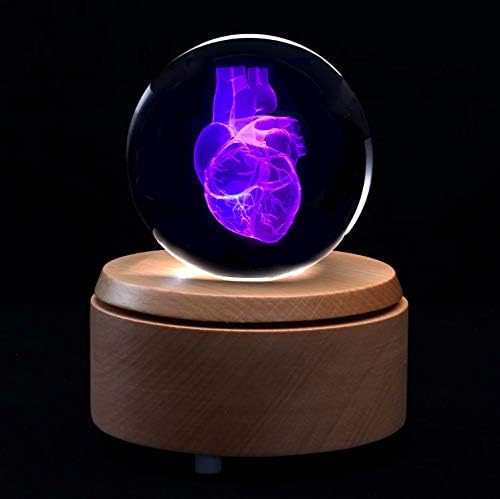 XINDAM 3D Human Heart Anatomical Model Paperweight(Laser Etched) in Crystal Glass Ball Science Gift (Included LED Base) - Image 6