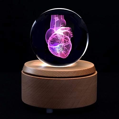 XINDAM 3D Human Heart Anatomical Model Paperweight(Laser Etched) in Crystal Glass Ball Science Gift (Included LED Base) - Image 5