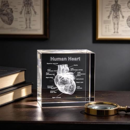 XINDAM 3D Human Heart with Labels Anatomical Model Statue Paperweight(Laser Etched) in Crystal Glass Cube Science Gift (No Included LED Base)(2.3x2.3x2.3 inch) - Image 6