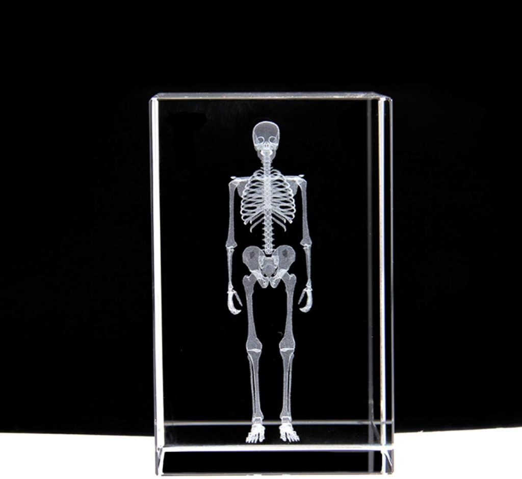 3D Human Skeleton Anatomical Model Paperweight(Laser Etched) in Crystal Glass Cube Science Anatomy Gift (No Included LED Base)(3.1x2x2 inch)