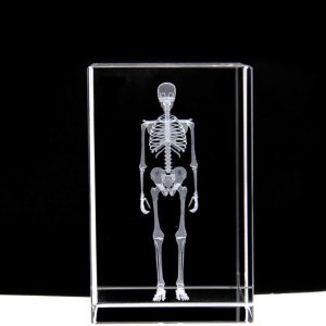 3D Human Skeleton Anatomical Model Paperweight(Laser Etched) in Crystal Glass Cube Science Anatomy Gift (No Included LED Base)(3.1x2x2 inch)