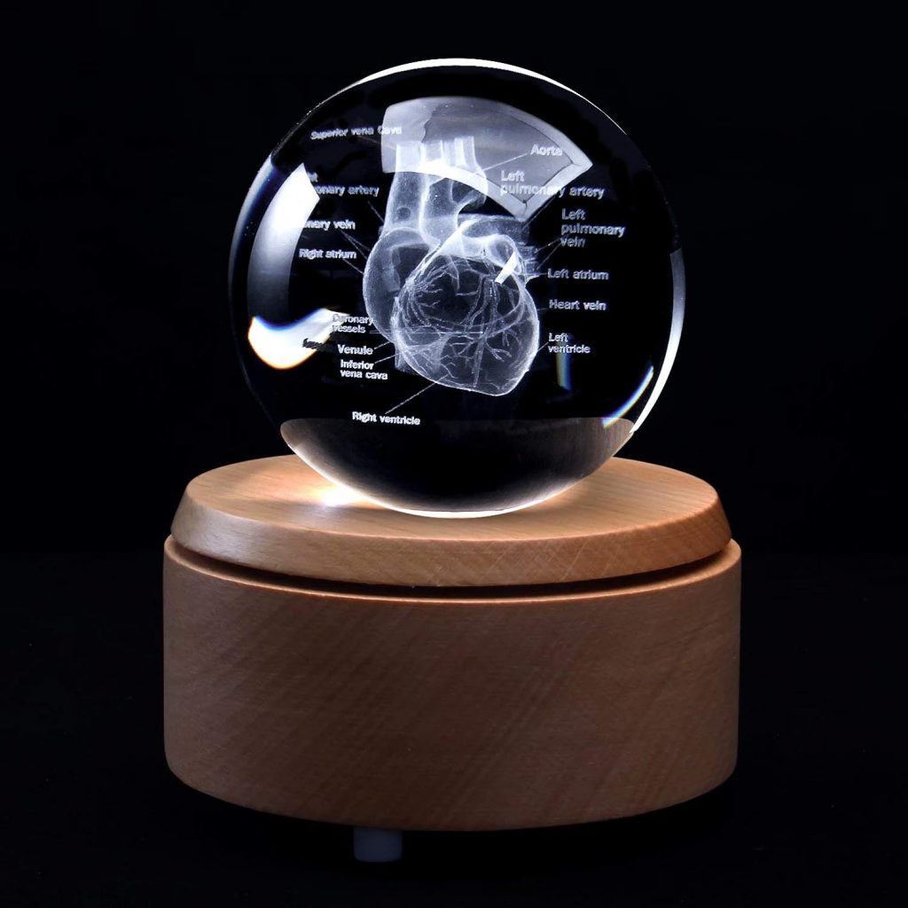 3D Human Heart with Labels Anatomical Model Paperweight(Laser Etched) in Crystal Glass Ball Science Gift (Included LED Base)