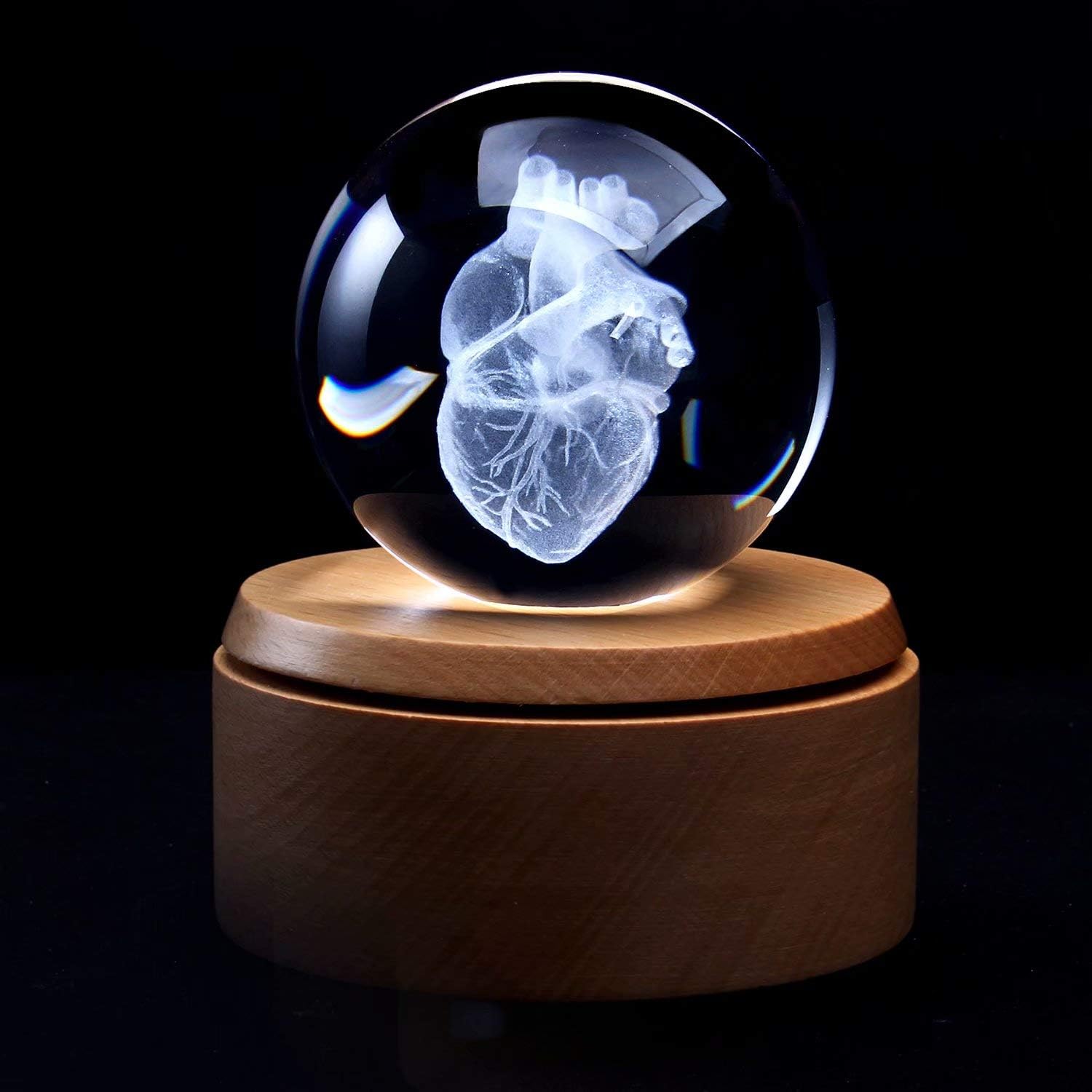 XINDAM 3D Human Heart Anatomical Model Paperweight(Laser Etched) in Crystal Glass Ball Science Gift (Included LED Base)