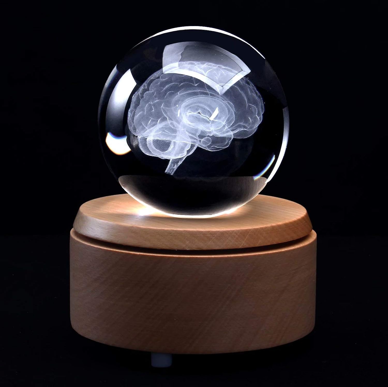 3D Human Brain Anatomical Model Paperweight(Laser Etched) in Crystal Glass Ball Science Gift (Included LED Base)