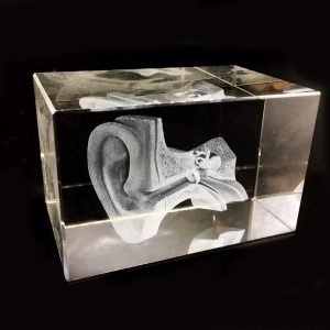 3D Human Ear Anatomical Model Paperweight(Laser Etched) in Crystal Glass Cube Science Anatomy Gift (No Included LED Base)